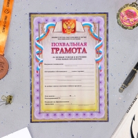 Папка "Портфолио старшеклассника", 8 грамот, А4