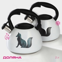 Чайник со свистком из нержавеющей стали Доляна &laquo;Лиса&raquo;, 3 л, с индикатором нагрева