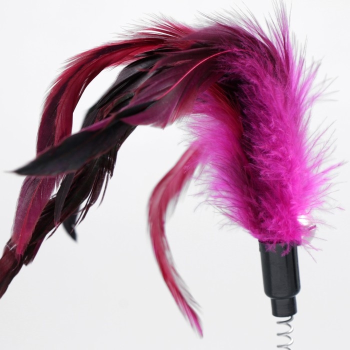 Дразнилка на прозрачной присоске Дразнилка на прозрачной присоске "Перышки", 32 см, микс цветов