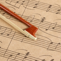 Смычок для скрипки Music Life 1/4, 55 см Смычок для скрипки Music Life 1/4, 55 см