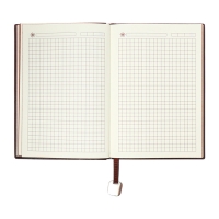 Органайзер на кольцах, B6, 116л, клетка, обл.кожзам, коричневый срез, Черный