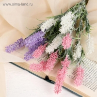 Букет "Кипрей" с напылением, 26 см, микс