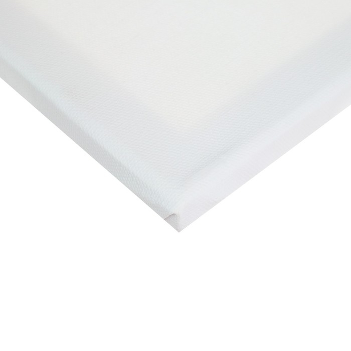 Холст на подрамнике, хлопок 100%, 1,6 х 50 х 90 см, акриловый грунт, среднезернистый, 380 г/м&sup2;