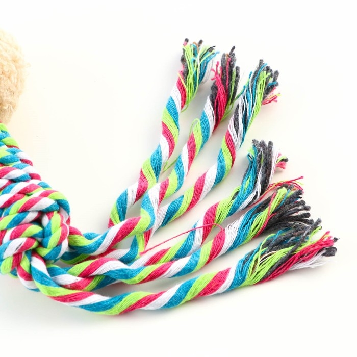 Игрушка мягкая для собак Игрушка мягкая для собак "Медведь" белый, 24 см