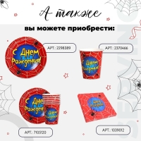 Набор бумажной посуды одноразовый Паутинка&raquo;