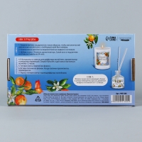 Набор для создания свечи и диффузора &laquo;Фруктовый аромат&raquo;