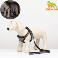 Комплект амуниции светоотражающий, размер S, ОГ 35-60 см, стропа 1,5 см, серый Комплект амуниции светоотражающий, размер S, ОГ 35-60 см, стропа 1,5 см, серый