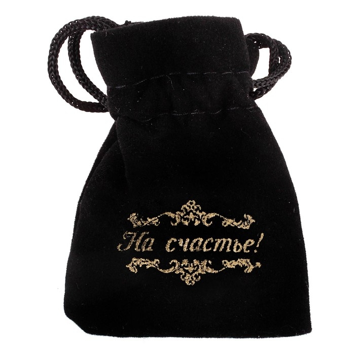 Монета сувенир &laquo;Счастливый пятак&raquo;, d=3,8 см.