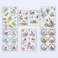 Набор декупажных карт 6 шт &laquo;Птицы&raquo;
