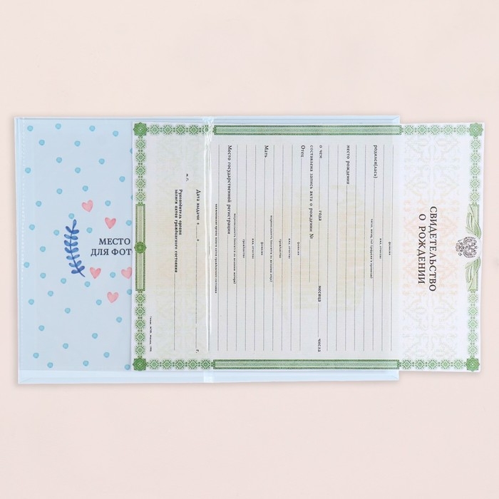 Папка под свидетельство о рождении "Утёнок" голубой бант, А5