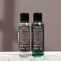 Подарочный набор косметики &laquo;Богатства и успеха&raquo;, гель для душа и шампунь для волос, 2 х 100 мл, Новый Год