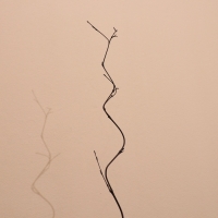 Интерьерный декор из бамбука, 200 см тёмный