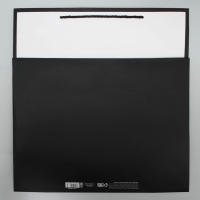 Пакет для цветов «Счастье», 42 × 44 × 32 см Пакет для цветов «Счастье», 42 × 44 × 32 см