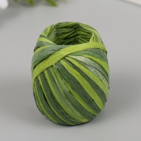 Тесьма декоративная бумага "Рафия меланж" намотка 20 м МИКС Тесьма декоративная бумага "Рафия меланж" намотка 20 м МИКС