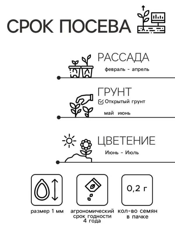 Семена цветов Астра низкорослая "Желтый ковер", 0,2 г