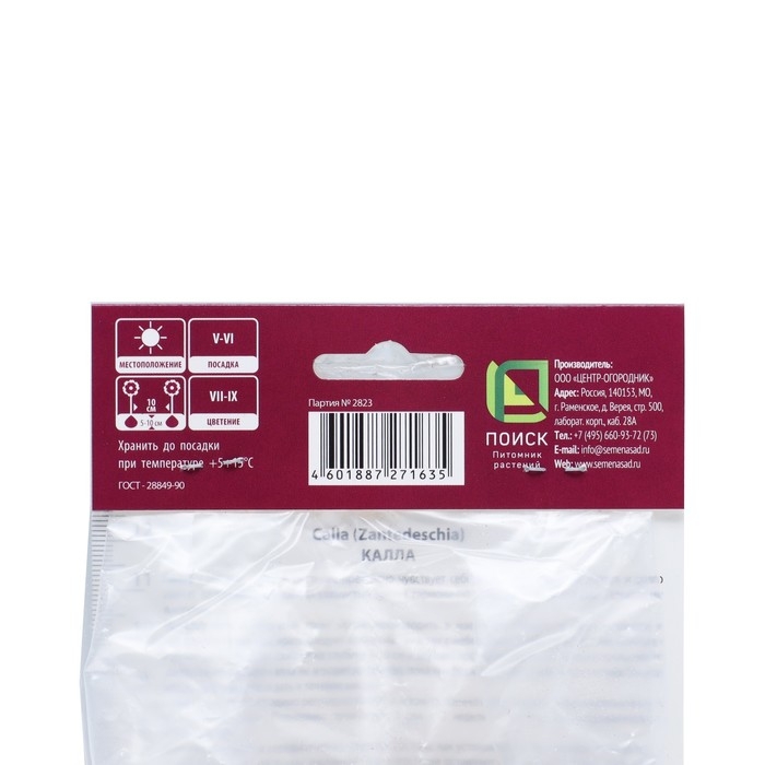 Калла белопятнистая, р-р 14/16, 1 шт, Весна 2025