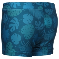 Плавки для плавания ONLYTOP &laquo;Дино&raquo;, р. 26