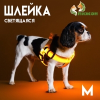 Шлейка светящаяся размер M, стропа 2,5 см, ОГ 38-50 см, 3 режима свечения жёлтая Шлейка светящаяся размер M, стропа 2,5 см, ОГ 38-50 см, 3 режима свечения жёлтая