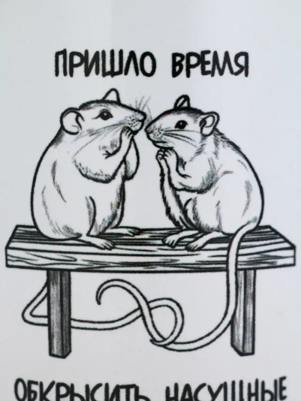 Кружка керамическая &laquo;Сплетни&raquo;, 320 мл