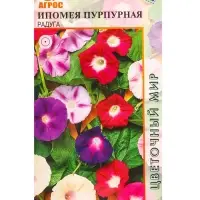 Семена Ипомея пурпурная "Радуга" 1 г