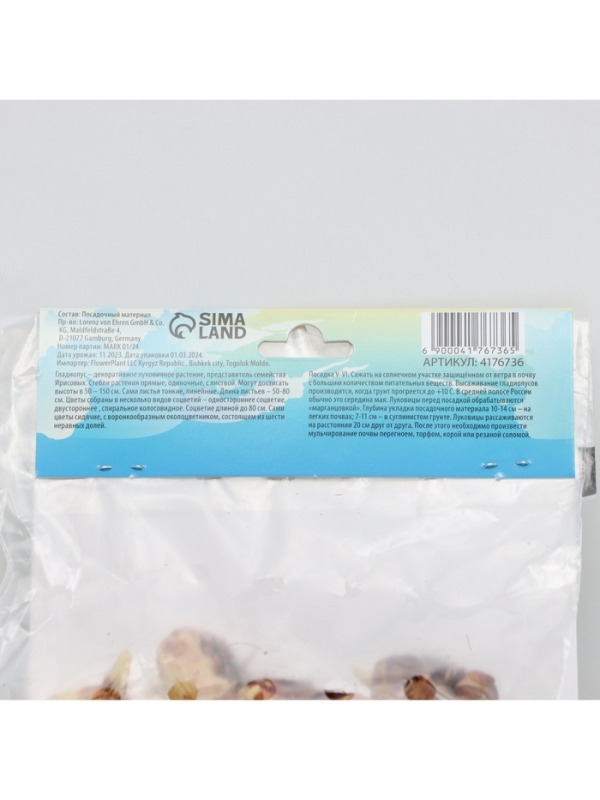 Гладиолус Низкорослый &laquo;Принц Клаус&raquo;, луковица цветов в пакете с перфорацией, р-р 10+, 7 шт.