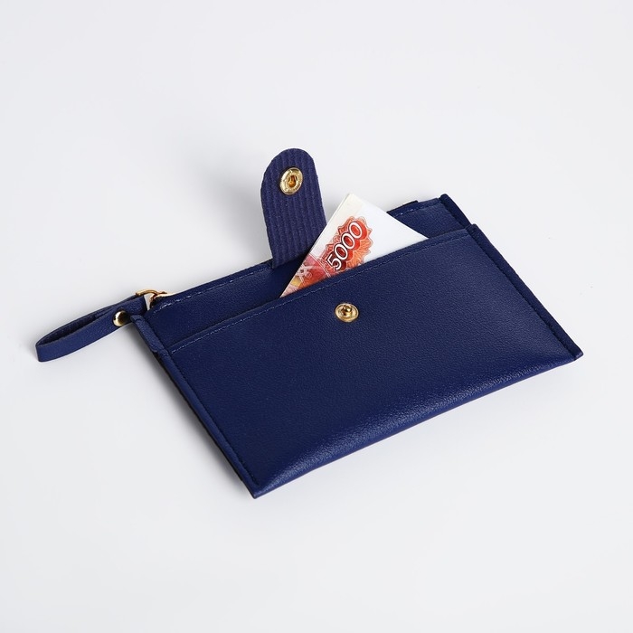 Картхолдер на молнии, цвет синий Картхолдер на молнии, цвет синий