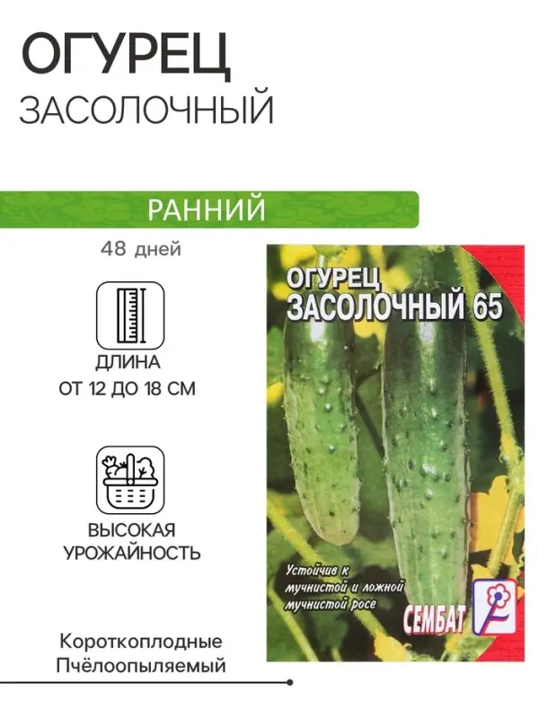 Семена Огурец "Засолочный", 0,5 г