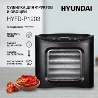 Сушка для фруктов и овощей HYFD-P1203