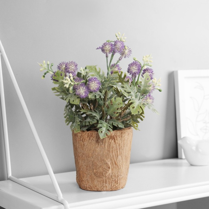 Бонсай "Синеголовник экстра" 9х21 см, микс