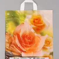 Пакет подарочный Утренняя роза 42 х 38 см 37 мкм