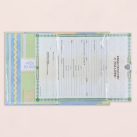 Свидетельство о рождении "Месяц" тиснение, зеленый бант, А5 Свидетельство о рождении "Месяц" тиснение, зеленый бант, А5