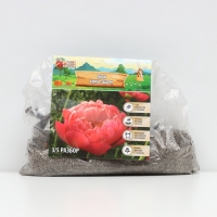 Пион Coral Charm, корневище в пакете с торфогрунтом, р-р 3/5, 1 шт.