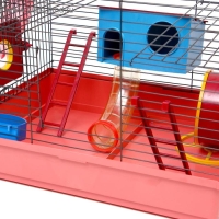 Клетка для грызунов "Хома 4", 55 x 37 x 42 см, микс цветов Клетка для грызунов "Хома 4", 55 x 37 x 42 см, микс цветов