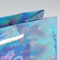 Пакет голографический &laquo;Морозко&raquo;, ML 23 х 27 х 11.5 см, Новый год