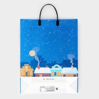 Новый год. Пакет новогодний "Новогодние дома" мягкий пластик 42 х 32 см.