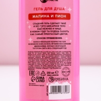 Гель для душа &laquo;Дед - Мороз, а ты Баба-огонь!&raquo;, 250 мл, аромат малины и пионов, Новый Год