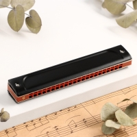 Губная гармошка Music Life T22K тремоло, с футляром Губная гармошка Music Life T22K тремоло, с футляром