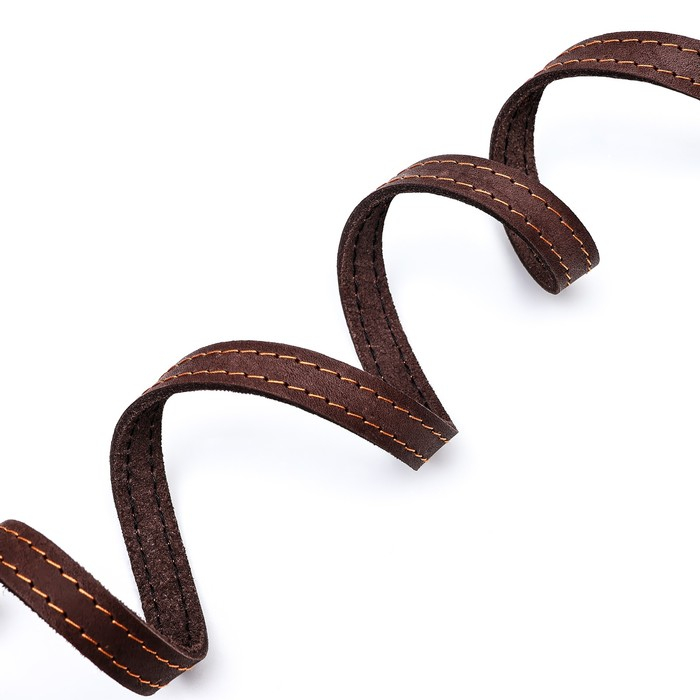 Поводок кожаный однослойный длинный, 2 м х 1,6 см, коричневый Поводок кожаный однослойный длинный, 2 м х 1,6 см, коричневый