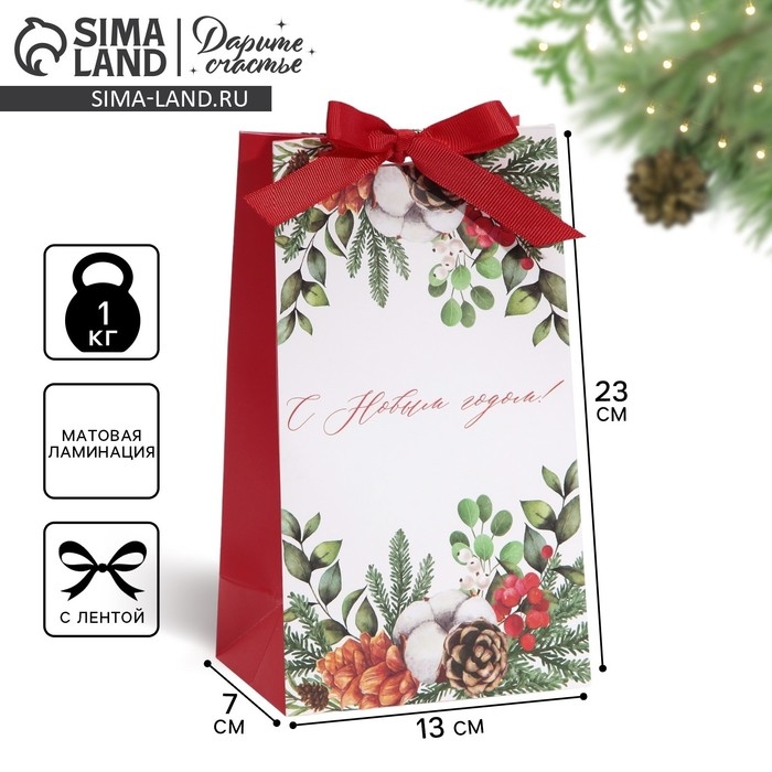 Пакет подарочный новогодний с лентой &laquo;Новогодняя пора&raquo;, 13 х 23 х 7 см, Новый год