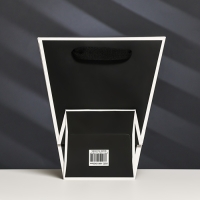 Пакет-переноска для цветов 10 &times; 10 &times; 20 х 18 см, черный с каймой