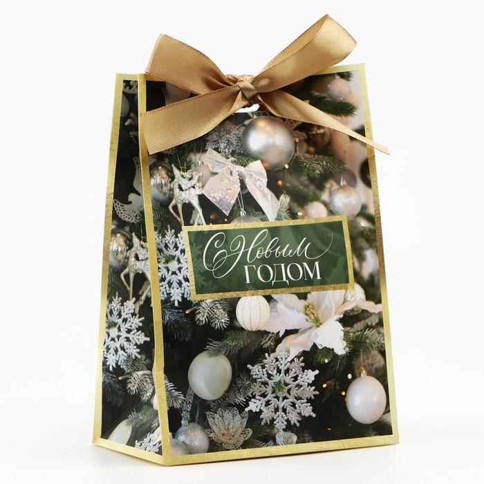 Пакет подарочный новогодний с лентой &laquo;Зима&raquo;, 13 х 19 х 9 см