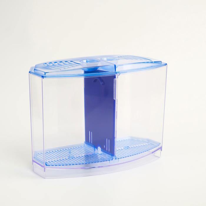 Аквариум настольный двухсекционный, с грунтом и 2 растениями