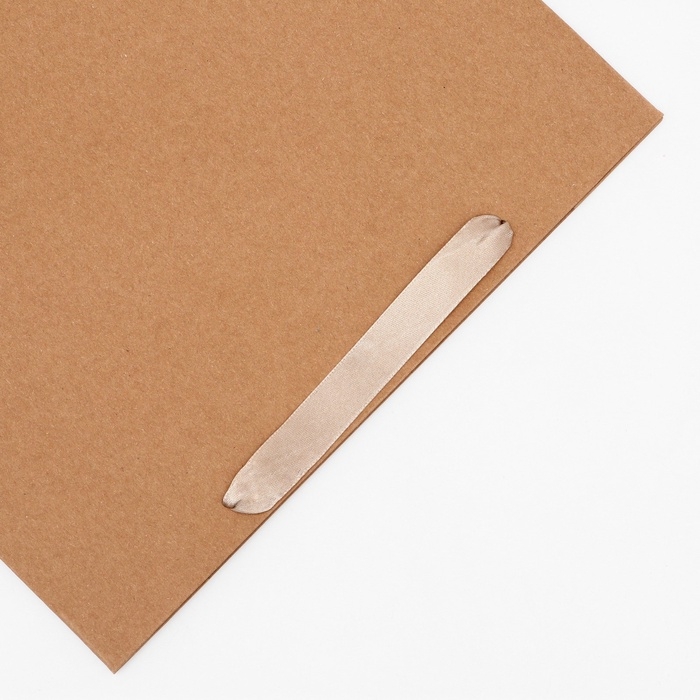 Пакет крафт без печати, 30 х 10 х 40 см 260 г/м2