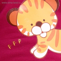 Мягкая игрушка «Басик» в футболке с принтом «Тигрёнок», 19 см Мягкая игрушка «Басик» в футболке с принтом «Тигрёнок», 19 см