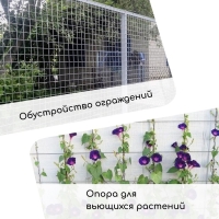 Сетка плетёная с ПВХ покрытием, 10 &times; 1 м, ячейка 25 &times; 25 мм, d = 0,9 мм, металл, Greengo