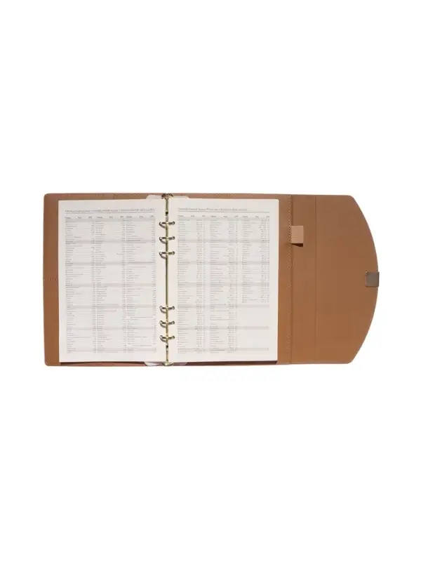 Органайзер на кольцах, A5, с клапаном, 80л, линия, к/зам, Оражевый