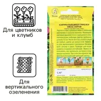 Семена Цветов Азарина "Вьющийся триколор", смесь сортов, 5 шт