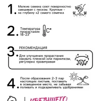 Семена Амарант Метельчатый Пигми Торч 0.1г*