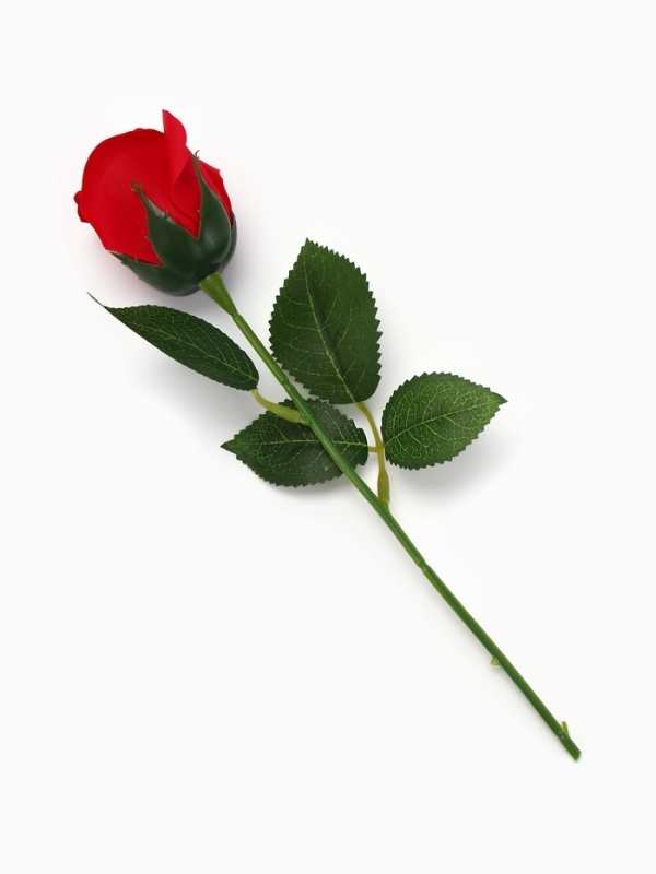 Мыльная роза красная в коробке