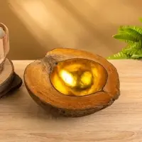 Чаша из кокоса, 22х24,5х9 см, коричнево-золотой